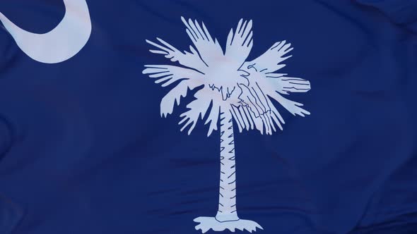 Flag of South Carolina State Region of the United States Waving at Wind alt