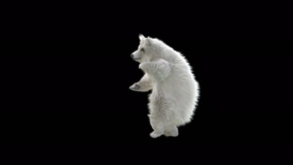 131 White Bear Dancing 4K alt