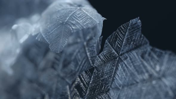 Snowflakes Melting  alt