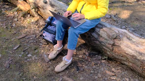 A Woman Uses a Laptop Sitting on a Log in the Woods