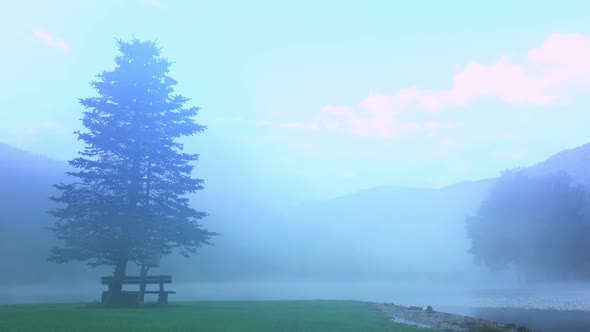 Morning Mist on Lake alt