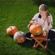 A Child Decorates a Pumpkin  Prepares Festive Decorations - VideoHive Item for Sale