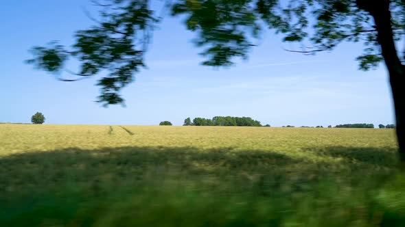 The beautiful green english British countryside passing by out the side of a car driving down the sc alt
