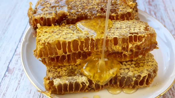Liquid Golden Honey Flows Down the Honeycomb