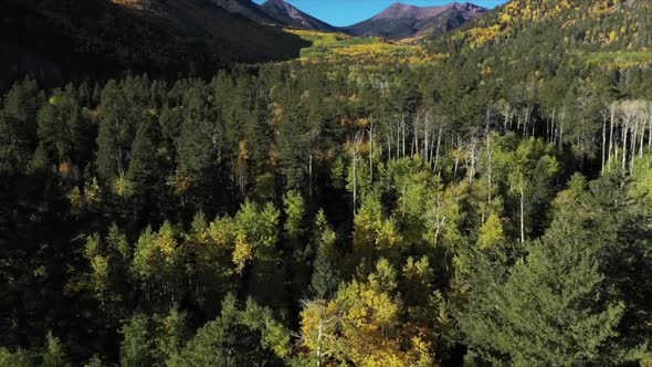 Lockett Meadow 2 alt