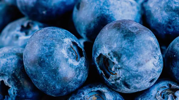 Closeup view of fresh blueberries.