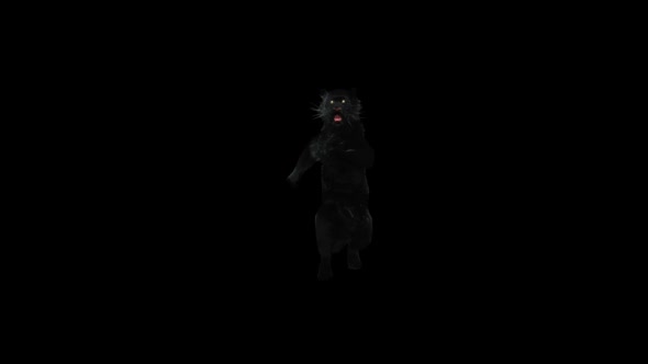 Panther Dancing HD alt
