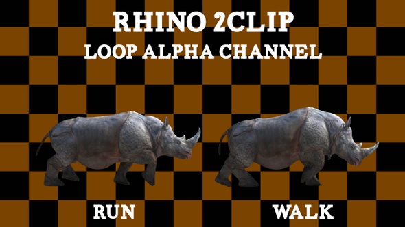 Rhino 2 Clip Loop