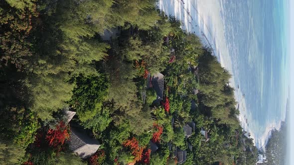 Vertical Video of the Ocean Near the Coast of Zanzibar Tanzania Aerial View alt