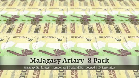 Malagasy Ariary | Madagascar Currency - 8 Pack | 4K Resolution | Looped alt