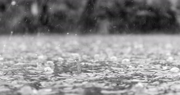 Close up view of rain drops on water in slow motion