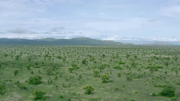 Aerial View of African Savannah alt