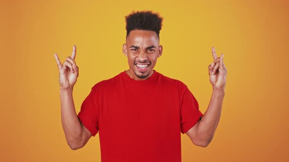 Punk is Not Dead alt