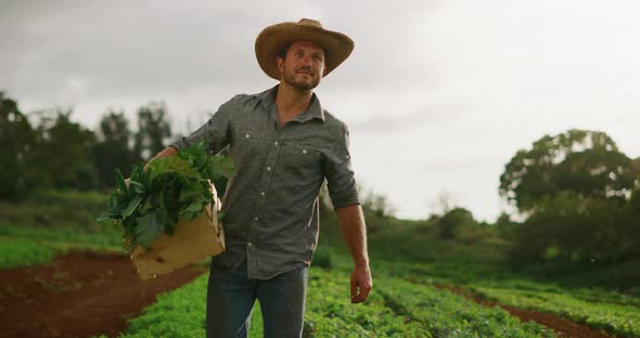 Farmer walking on his farm