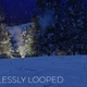 Camp Fire In The Snow Fall In Pine Forest At Night - VideoHive Item for Sale