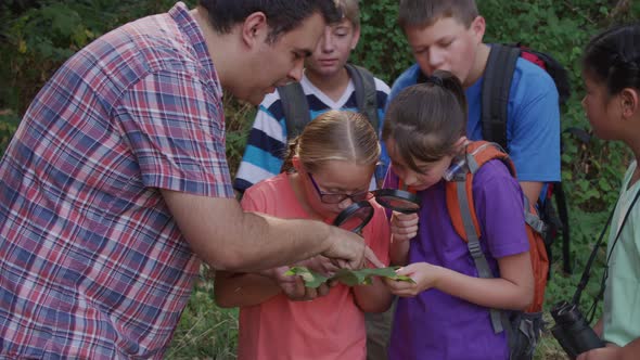 Kids at summer camp looking at leaf with leader