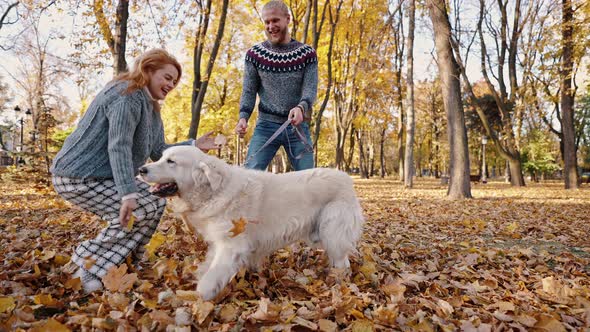 Autumn Games with Pet alt