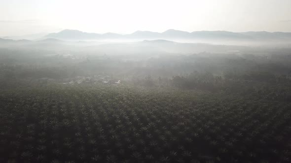 Malays village inside the oil palm plantation alt