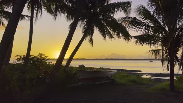 A Young Boy Came to the Beach alt