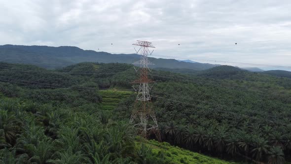 Aerial view electric tower near oil palm alt