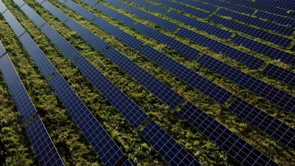 Aerial view of Solar Panels Stand At Sunrise. Flyover Fields Green Energy Landscape. alt