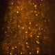 Gold Particles Background - VideoHive Item for Sale