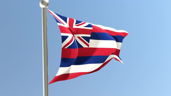 Hawaii flag on flagpole. alt