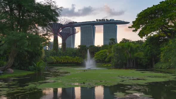 Singapore supertree grove Futuristic view of amazing illumination with Night light show.
