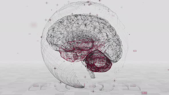 Human Brain Scanner