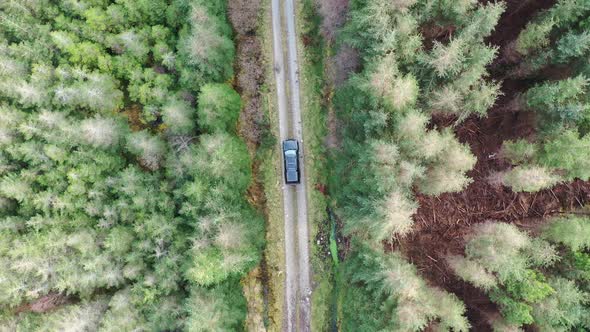 4X4 Pickup Vehicles Driving Through Forest - All Brands Removed alt