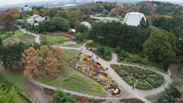  Blooming Garden Flowers alt