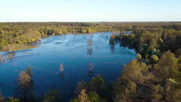 Valley of the river flooded during spring flood