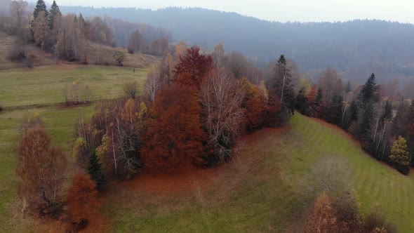 Aerial Drone Footage View: Flight over autumn mountain with forests and fields. Carpathian Mountains