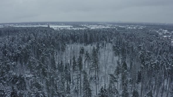 Winter Landscape of a Russian Village in the Forest