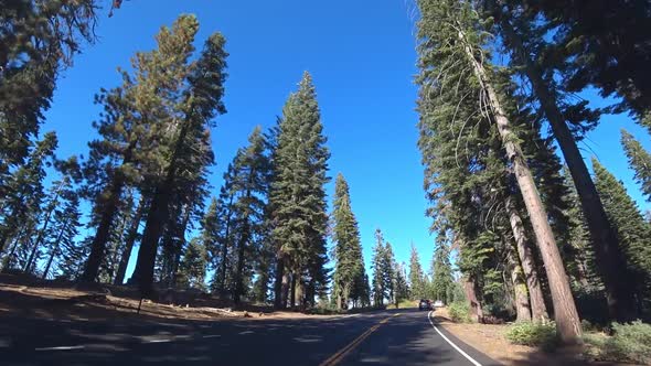 Driving Car in Yosemite Valley. California USA.