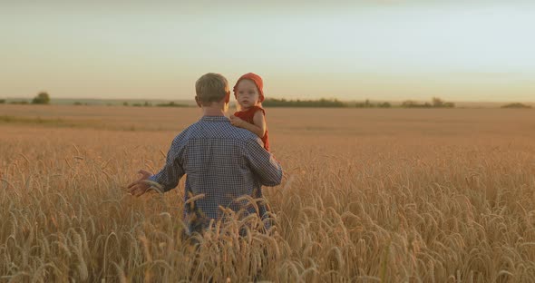 Young Man Walks with His Daughter in His Arms and Touches the Wheat in the Field
