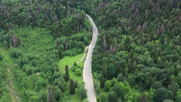 Drone footage of a driving car on the winding road through green forest and mountains pass