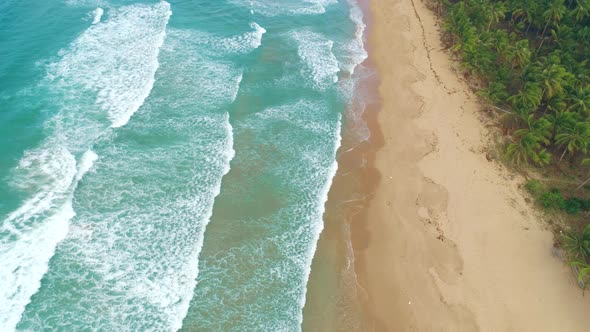 Aerial View of Tropical Sandy Beach and Blue Ocean. Top View of Ocean Waves Reaching Shore on Sunny alt