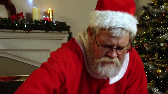 Portrait of smiling santa claus alt