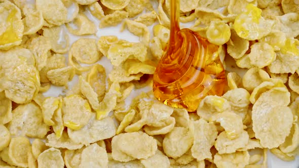 Closeup Natural Honey Pouring Into Corn Flakes with Milk in Slow Motion, Sugar