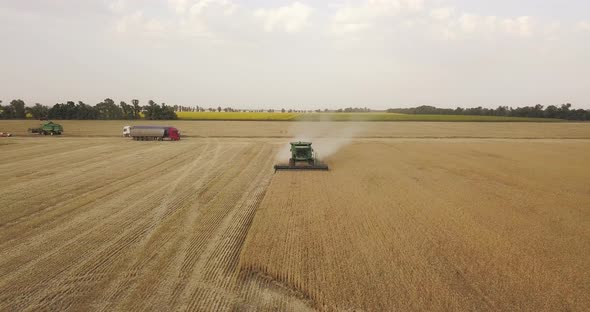 A Green Harvester Harvests Wheat, On A Large Field In The Evening, Trucks