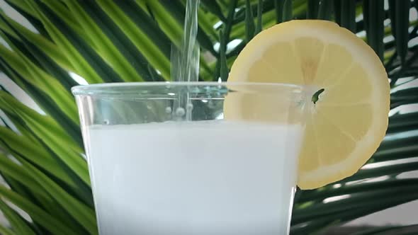 Pouring soda water into the glass with ice cubes on palm leaves background