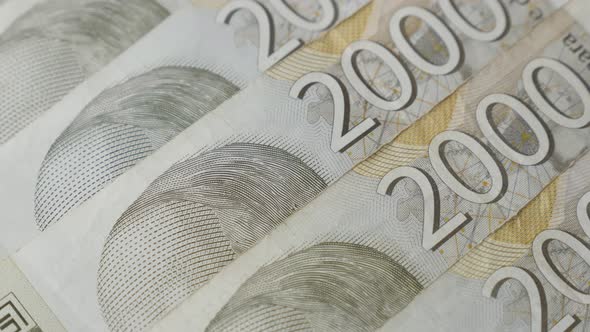 Paper currency of Serbia in 2000 dinar denominations 4K 2160p 30fps UltraHD tilting footage - Serbia alt