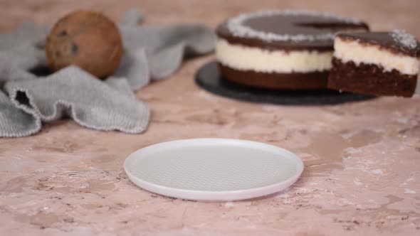 Piece of delicious chocolate cake with coconut filling.	 alt