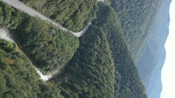 Vertical Video Carpathian Mountains alt