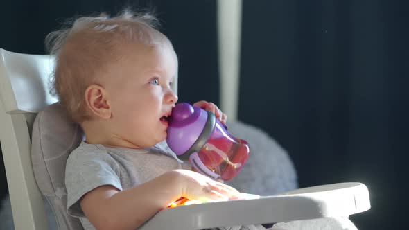 Cute Kid with Baby Straw Feeding Cup Sitting in Booster Seat One Year Old Toddler Watching Tv alt