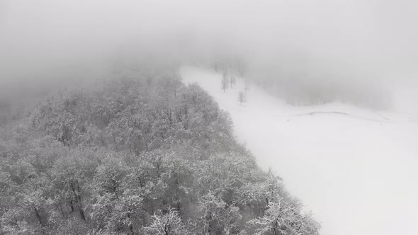 Aerial View of a Frozen Forest with Snow Covered Trees at Winter During Foggy Journey alt