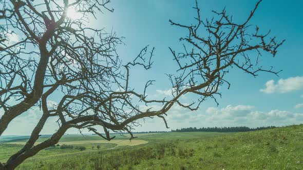 Time Lapse of clouds over green rural landscape with trees and green hills alt