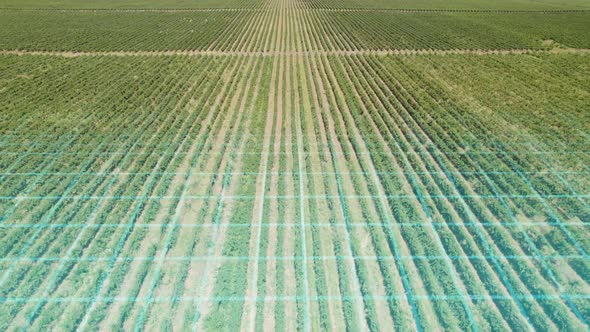 Futuristic Scanner Over Agriculture Field alt