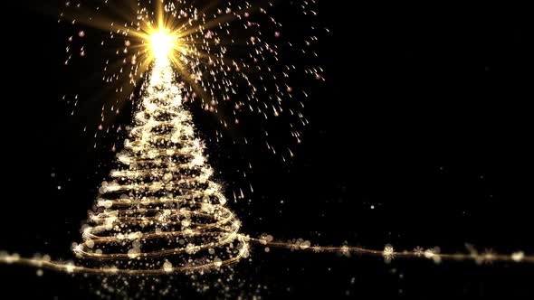 Christmas Tree Animation with Lights on Black